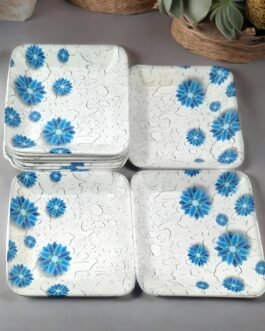 Elevate Your Dining Experience with Our 12 -Piece Of Small Serving Ceramic Plates Set – Perfect for Serving Snacks, Meals, and More!